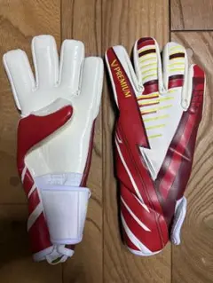 新品　大特価　V Premium キーパーグローブ　VIGORO ９号