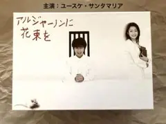アルジャーノンに花束を　DVD全巻セット　全6巻　ユースケ・サンタマリア Amazon.co.jp: アルジャーノンに花束を ユースケ サンタマリア