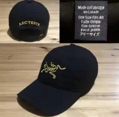 ARC'TERYX PALACE コラボ　キャップ 緑 Brandol / ARC'TERYX アークテリクス 帽子 Bird Trucker Curved