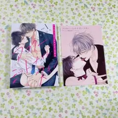 アフター・ミッドナイト・スキン　1巻　にむまひろ　アニメイト リーフレット