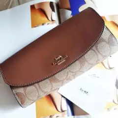 Item thumbnail for item dc9fb7a2-2ca5-4a71-a329-11dfbbd97067