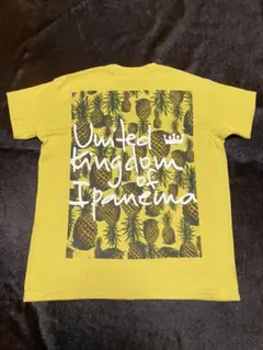 オスクレン  OSKLEN  Tシャツ　カットソー