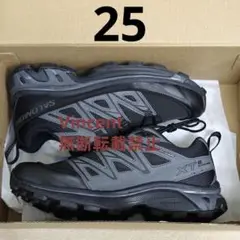 SALOMON XT-6 EXPANSE 25