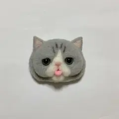 nbっこちゃん様 エキゾグレー赤ちゃん
