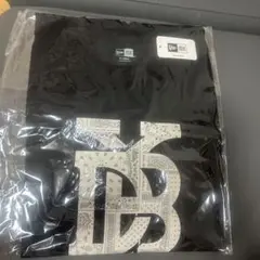 NEW ERA/ペイズリーTシャツ/YDBロゴ