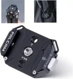 Item thumbnail for item 5c4fd2b5-3a92-4e12-b0ac-d43eb5b32778
