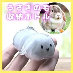Item thumbnail for item a9a155b7-8493-477b-97f2-e47b98b5581e
