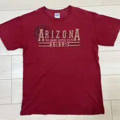 GILDAN アリゾナ 1912 Tシャツ M 赤