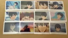 【匿名配送】Free! ミニフォトカード 七瀬遙 12枚