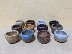 信楽焼 1.5号浅小鉢