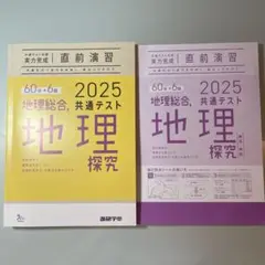 地理総合 共通テスト 2025 解答付き　進研学参、学校専売