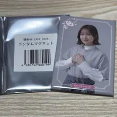 Item thumbnail for item 39fa3eca-d342-4b8c-a09b-04b0bc3d0902