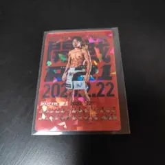 新品　RIZIN　ポテトスティック　カード