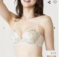 Item thumbnail for item d611a70c-c3eb-4019-9515-35172364fc6f