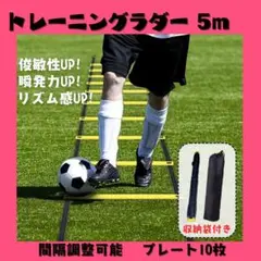 (新品未使用)トレーニングラダー5m