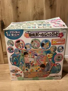 頭と体知育ボールジャングル