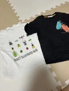 昆虫イラスト Tシャツ 2枚セット　110 120