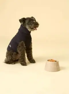 Item thumbnail for item ec503884-0cee-4af4-b816-a4715bc8e7c0