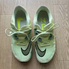 Item thumbnail for item 768660f4-2d2a-4be6-bfbe-58757a63b21a