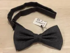 Item thumbnail for item 58d4c079-3f1b-48b7-bae8-1614747777ec