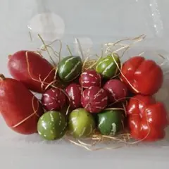 秋の実 飾り 種