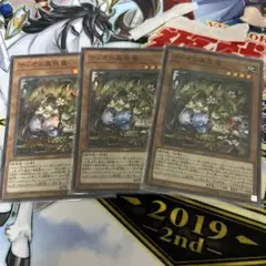 遊戯王 ティオの蟲惑魔 スーパーレア 3枚セット