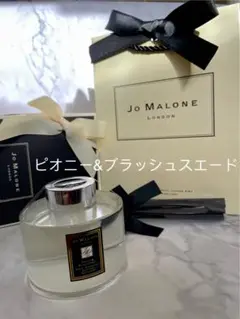 Item thumbnail for item 39b36404-81c7-46ad-bde9-13c71f49b018