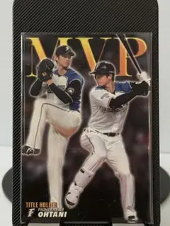 Item thumbnail for item f3f6a756-01e2-4130-bae2-2baa0b03bbee