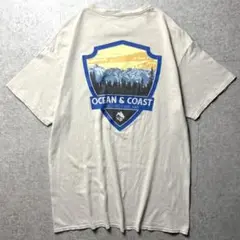 Ocean & Coast 半袖Tシャツアウトドア　バックプリント　ベージュ　M