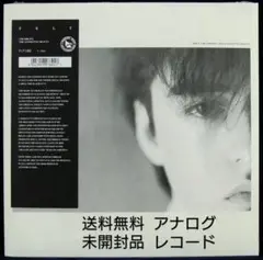 未使用　FELT　CRUMBLING THE ANTISEPTIC BEAUTY