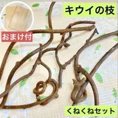 Item thumbnail for item 09579141-971e-4070-8edb-b3a9e9d9006f