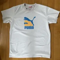 PU ＭA Tシャツ(160cm)
