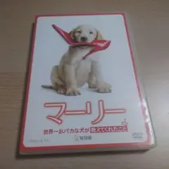 マーリー 世界一おバカな犬が教えてくれたこと