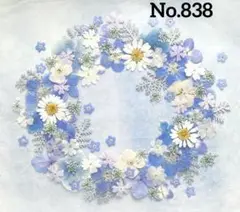 押し花素材　No.838 ブルー系セット