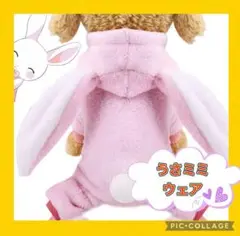 わんちゃんかわいいもこもこウサミミウェア