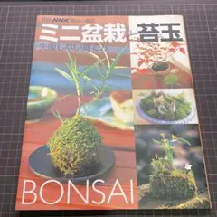 ミニ盆栽と苔玉 失敗しない育て方