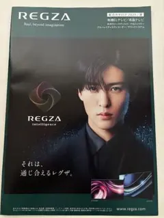 SnowMan（目黒蓮）REGZA intelligence パンフレット