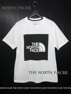 THE NORTH FACEノースフェイス：BIGブラックロゴT・サイズL美品