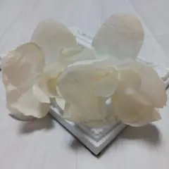 Item thumbnail for item 8aeab923-a4b8-48b9-b25d-1e96b52d83bd