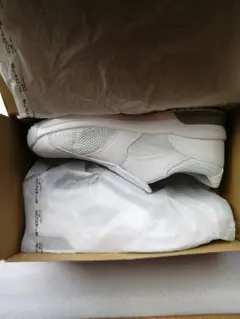 Item thumbnail for item 75a391a2-6779-489c-b611-f84c4252e553