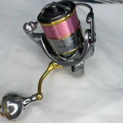 daiwa freams lt 1000s