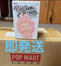 【正規品・未開封】Labubu Big into Energy 1箱