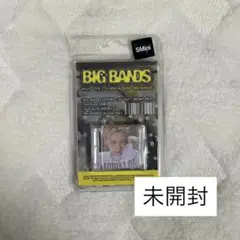 WayV BIG BANDS テン SMini 未開封