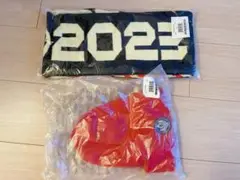 league of legend グッズ　2023 MSI LoL