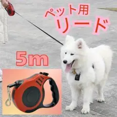 Item thumbnail for item 94d6baf2-28dc-473a-a827-8d3057f3f54b