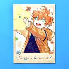 あんスタ 中国 童心珍藏 童心 珍蔵 ポラロイド チェキ カード 明星スバル