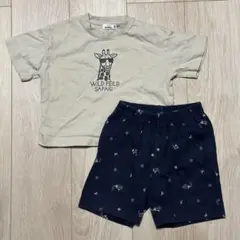 キリンTシャツ ハーフパンツセット 100cm UNIQLO PAIRMANON