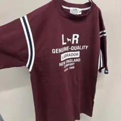 Labrador バーガンディ Tシャツ