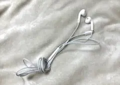 Item thumbnail for item 08af2c6c-e2c6-471b-b281-f27c9578d16c