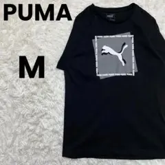 PUMA　プーマ　ビックロゴ　Tシャツ　ブラック　M